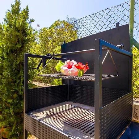 Holiday home Ideal Mallorca - Paris